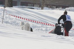 Lenk 2012 SM